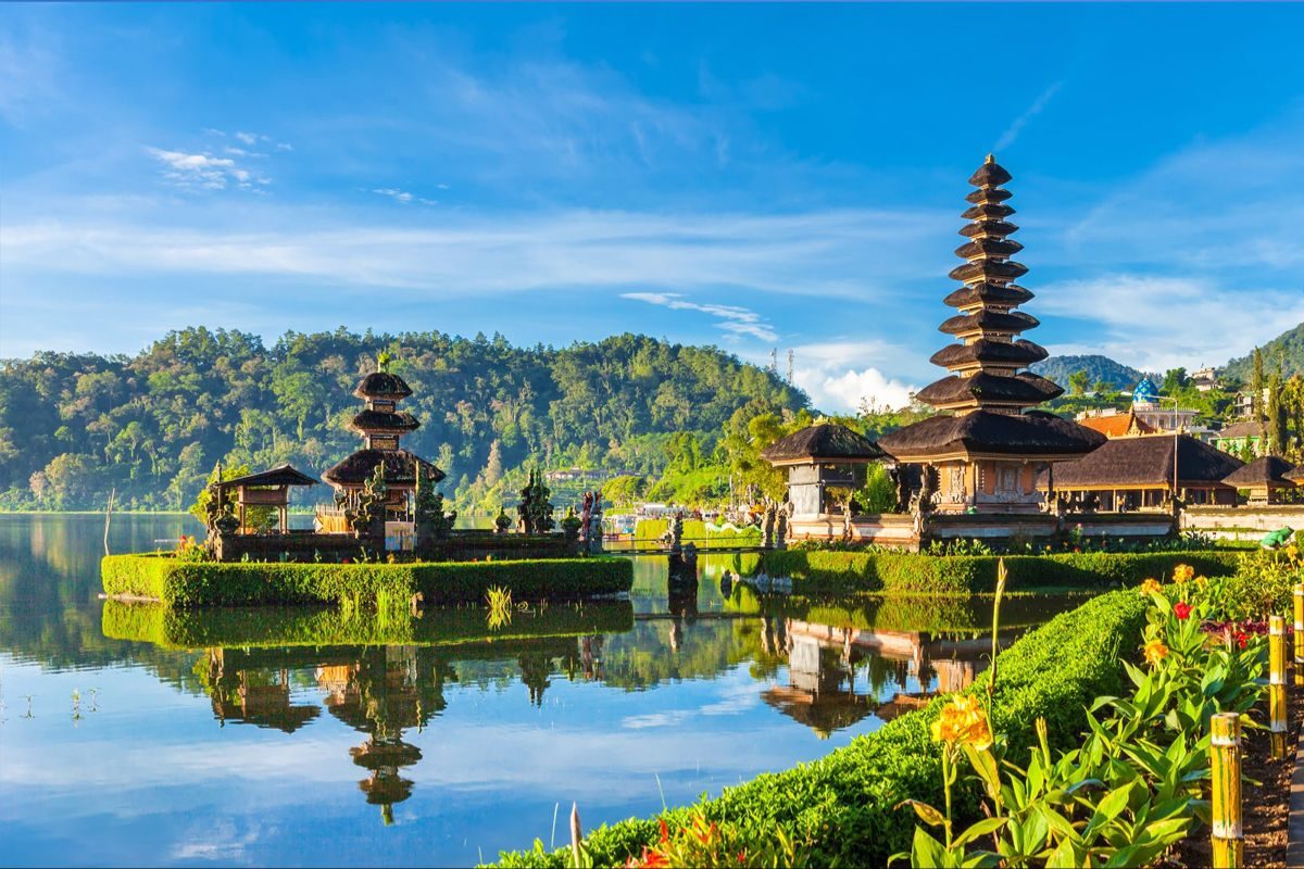 Jasa Pembuatan Website Lovina Bali Profesional
